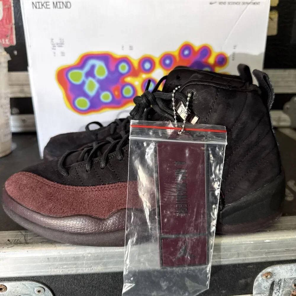 New DS Nike Air Jordan 12 Retro  